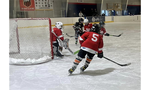 RLAC SPRING 2023 HOCKEY IS FULL!