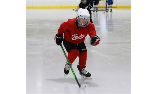 SECOND SPRING/SUMMER CROSS ICE HOCKEY SESSION TBA. JOIN LIST